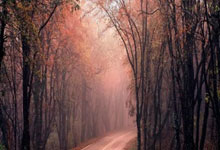 世界杯购彩网站 -男子(zi)登山意(yì)外受(shòu)傷(shāng)，海淀警(jǐng)方成(chéng)功施救