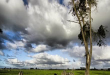 世界杯购彩网站 -男子(zi)登山意(yì)外受(shòu)傷(shāng)，海淀警(jǐng)方成(chéng)功施救