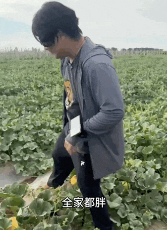 全红婵,已报警